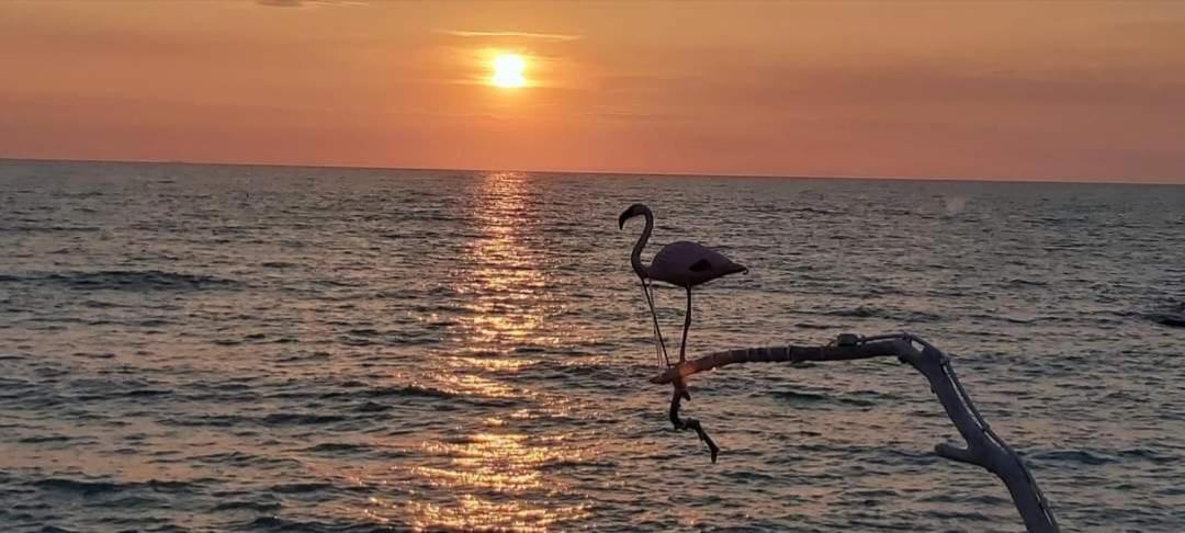 Affreschi Sul Mare Hotell Marina Di Pisa Eksteriør bilde
